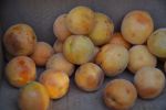IL CIBO COME PATRIMONIO CULTURALE