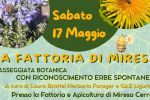 LA FATTORIA DI MIRESA