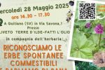 RICONOSCIMENTO ERBE E SANA ALIMENTAZIONE