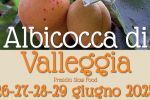 TORNA LA FESTA DELL'ALBICOCCA DI VALLEGGIA