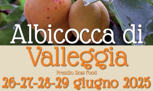 TORNA LA FESTA DELL’ALBICOCCA DI VALLEGGIA