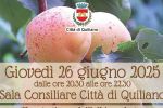 FESTA DELL'ALBICOCCA, AL VIA IL CONVEGNO TECNICO