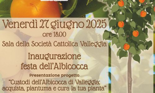VALLEGGIA IN FESTA