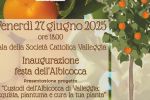 VALLEGGIA IN FESTA 