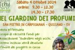 NEL GIARDINO DEI PROFUMI