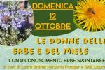 LE DONNE DELLE ERBE E DEL MIELE