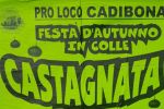 CASTAGNATA A CADIBONA