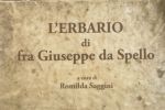LE ERBE DELLA FIORITURA